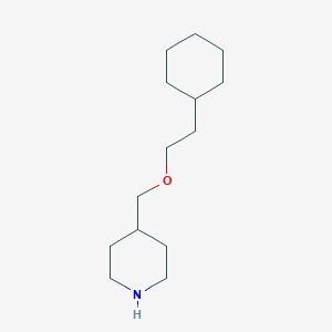 molecular formula C14H27NO B263324 4-[(2-Cyclohexylethoxy)methyl]piperidine 