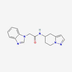 2-(1H-benzo[d]imidazol-1-yl)-N-(4,5,6,7-tetrahydropyrazolo[1,5-a]pyridin-5-yl)acetamide