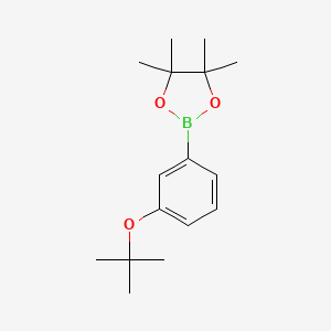 CC(C)(C)OC1=CC=CC(B2OC(C)(C)C(C)(C)O2)=C1