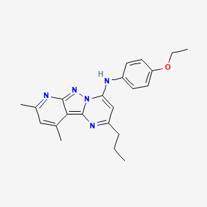 N-(4-ethoxyphenyl)-8,10-dimethyl-2-propylpyrido[2',3':3,4]pyrazolo[1,5-a]pyrimidin-4-amine
