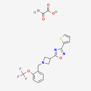 molecular formula C19H16F3N3O6S B2636212 3-(Thiophen-2-yl)-5-(1-(2-(trifluoromethoxy)benzyl)azetidin-3-yl)-1,2,4-oxadiazole oxalate CAS No. 1428363-14-7
