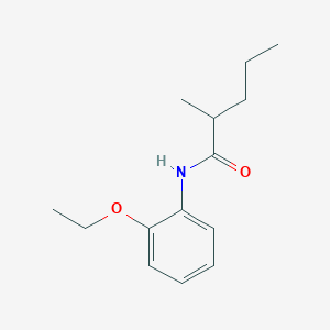 molecular formula C14H21NO2 B263623 N-(2-ethoxyphenyl)-2-methylpentanamide 