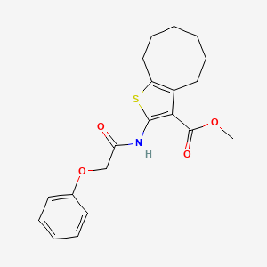 molecular formula C20H23NO4S B2637544 Methyl 2-[(phenoxyacetyl)amino]-4,5,6,7,8,9-hexahydrocycloocta[b]thiophene-3-carboxylate CAS No. 420094-94-6