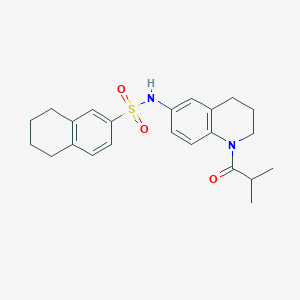 N-(1-isobutyryl-1,2,3,4-tetrahydroquinolin-6-yl)-5,6,7,8-tetrahydronaphthalene-2-sulfonamide