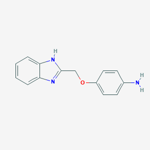 molecular formula C14H13N3O B263848 4-(1H-benzimidazol-2-ylmethoxy)phenylamine 