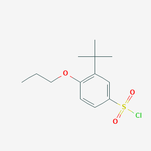 molecular formula C13H19ClO3S B2639342 3-(tert-Butyl)-4-propoxybenzenesulfonyl chloride CAS No. 1094296-52-2