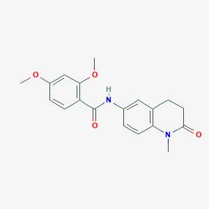 molecular formula C19H20N2O4 B2640403 2,4-二甲氧基-N-(1-甲基-2-氧代-1,2,3,4-四氢喹啉-6-基)苯甲酰胺 CAS No. 922130-70-9