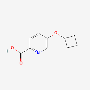 molecular formula C10H11NO3 B2640414 5-Cyclobutoxypyridine-2-carboxylic acid CAS No. 1286777-31-8