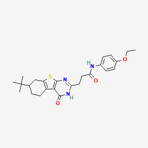 molecular formula C25H31N3O3S B2640795 3-(7-叔丁基-4-氧代-3,4,5,6,7,8-六氢[1]苯并噻吩并[2,3-d]嘧啶-2-基)-N-(4-乙氧苯基)丙酰胺 CAS No. 950314-52-0