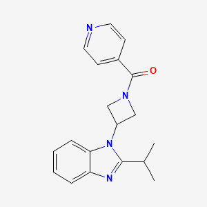 molecular formula C19H20N4O B2640844 [3-(2-Propan-2-ylbenzimidazol-1-yl)azetidin-1-yl]-pyridin-4-ylmethanone CAS No. 2415466-22-5