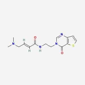molecular formula C14H18N4O2S B2640988 (E)-4-(Dimethylamino)-N-[2-(4-oxothieno[3,2-d]pyrimidin-3-yl)ethyl]but-2-enamide CAS No. 2411335-53-8