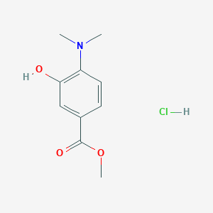 Methyl 4-(dimethylamino)-3-hydroxybenzoate;hydrochloride