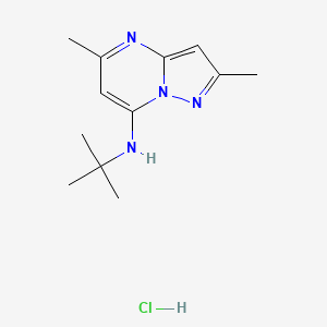 molecular formula C12H19ClN4 B2643234 N-Tert-butyl-2,5-dimethylpyrazolo[1,5-a]pyrimidin-7-amine;hydrochloride CAS No. 2379972-11-7