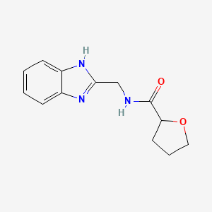molecular formula C13H15N3O2 B2643411 N-(benzimidazol-2-ylmethyl)oxolan-2-ylcarboxamide CAS No. 890645-37-1