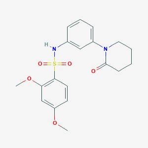molecular formula C19H22N2O5S B2643541 2,4-二甲氧基-N-(3-(2-氧代哌啶-1-基)苯基)苯磺酰胺 CAS No. 941945-24-0