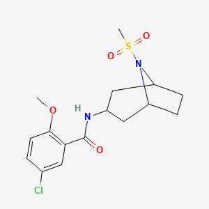 molecular formula C16H21ClN2O4S B2643918 5-氯-2-甲氧基-N-(8-(甲基磺酰基)-8-氮杂双环[3.2.1]辛烷-3-基)苯甲酰胺 CAS No. 2034558-61-5