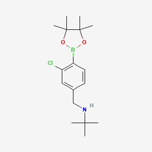 2-Chloro-4-(N-t-butylaminomethyl)phenylboronic acid, pinacol ester