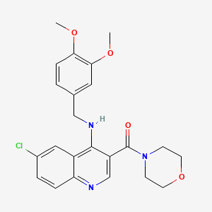 molecular formula C23H24ClN3O4 B2644413 {6-Chloro-4-[(3,4-dimethoxybenzyl)amino]quinolin-3-yl}(morpholin-4-yl)methanone CAS No. 1326831-32-6