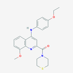 molecular formula C23H25N3O3S B2644906 (4-((4-Ethoxyphenyl)amino)-8-methoxyquinolin-2-yl)(thiomorpholino)methanone CAS No. 1251565-47-5