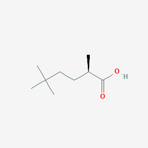molecular formula C9H18O2 B2644928 (2R)-2,5,5-Trimethylhexanoic acid CAS No. 2248187-68-8