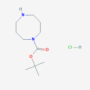 molecular formula C11H23ClN2O2 B2645043 1,5-二氮杂环己烷-1-羧酸盐盐酸盐叔丁酯 CAS No. 2219379-96-9