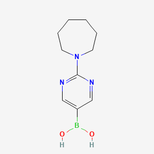 molecular formula C10H16BN3O2 B2645694 2-(氮杂环己-1-基)嘧啶-5-硼酸 CAS No. 2096333-81-0