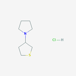 molecular formula C8H16ClNS B2645972 1-(Tetrahydrothiophen-3-yl)pyrrolidine hydrochloride CAS No. 2034416-18-5