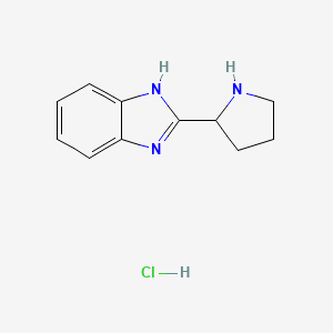 B2646022 2-pyrrolidin-2-yl-1H-benzimidazole;hydrochloride CAS No. 1179504-07-4