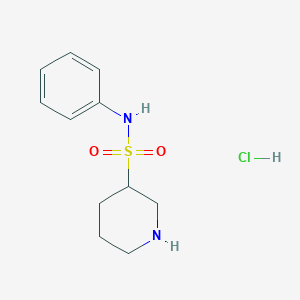 N-phenylpiperidine-3-sulfonamide hydrochloride