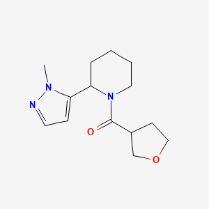 [2-(2-Methylpyrazol-3-yl)piperidin-1-yl]-(oxolan-3-yl)methanone