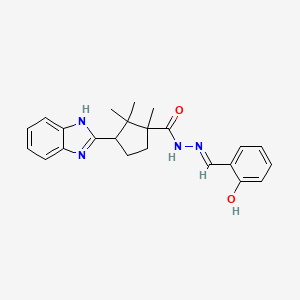 molecular formula C23H26N4O2 B2647988 (1S,3R,E)-3-(1H-苯并[d]咪唑-2-基)-N'-(2-羟基苄叉)-1,2,2-三甲基环戊烷甲酰肼 CAS No. 725219-12-5