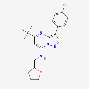5-tert-butyl-3-(4-chlorophenyl)-N-(oxolan-2-ylmethyl)pyrazolo[1,5-a]pyrimidin-7-amine