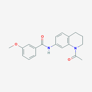 molecular formula C19H20N2O3 B2648710 N-(1-acetyl-3,4-dihydro-2H-quinolin-7-yl)-3-methoxybenzamide CAS No. 898465-00-4