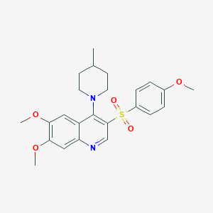 molecular formula C24H28N2O5S B2649440 6,7-Dimethoxy-3-((4-methoxyphenyl)sulfonyl)-4-(4-methylpiperidin-1-yl)quinoline CAS No. 897624-38-3