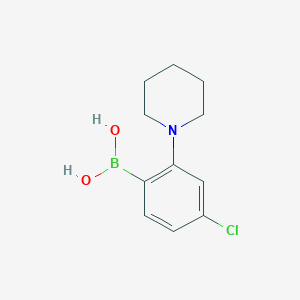 molecular formula C11H15BClNO2 B2649779 4-氯-2-哌啶基苯硼酸 CAS No. 2096339-67-0