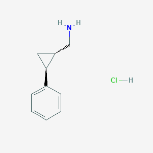 molecular formula C10H14ClN B2650608 [(1S,2S)-2-phenylcyclopropyl]methanamine hydrochloride CAS No. 928054-33-5