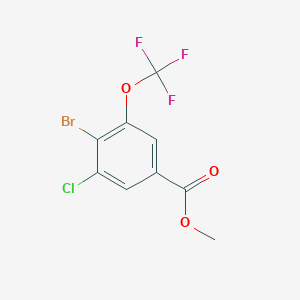 molecular formula C9H5BrClF3O3 B2651022 Methyl 4-bromo-3-chloro-5-(trifluoromethoxy)benzoate CAS No. 1433280-61-5