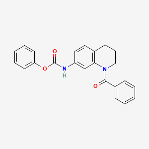 molecular formula C23H20N2O3 B2651221 Phenyl (1-benzoyl-1,2,3,4-tetrahydroquinolin-7-yl)carbamate CAS No. 955539-13-6