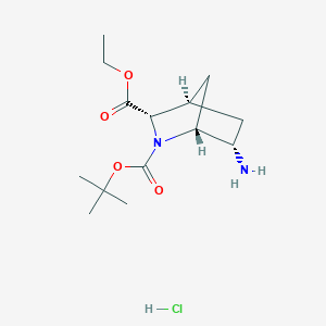 molecular formula C14H25ClN2O4 B2651746 2-O-Tert-butyl 3-O-ethyl (1R,3S,4R,6S)-6-amino-2-azabicyclo[2.2.1]heptane-2,3-dicarboxylate;hydrochloride CAS No. 2411179-05-8