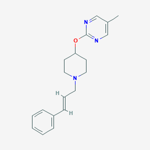 molecular formula C19H23N3O B2652663 5-Methyl-2-[1-[(E)-3-phenylprop-2-enyl]piperidin-4-yl]oxypyrimidine CAS No. 2380195-64-0