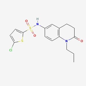 molecular formula C16H17ClN2O3S2 B2653128 5-氯-N-(2-氧代-1-丙基-1,2,3,4-四氢喹啉-6-基)噻吩-2-磺酰胺 CAS No. 941991-98-6
