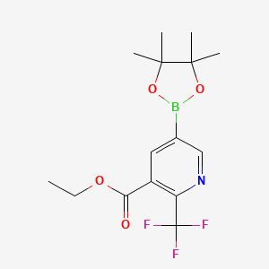 molecular formula C15H19BF3NO4 B2653622 5-(4,4,5,5-四甲基-1,3,2-二氧杂硼环-2-基)-2-(三氟甲基)烟酸乙酯 CAS No. 2304635-56-9