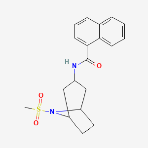 molecular formula C19H22N2O3S B2654448 N-(8-(methylsulfonyl)-8-azabicyclo[3.2.1]octan-3-yl)-1-naphthamide CAS No. 2034304-72-6