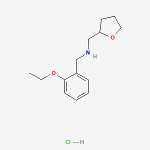 (2-Ethoxy-benzyl)-(tetrahydro-furan-2-ylmethyl)-amine hydrochloride