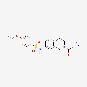 molecular formula C21H24N2O4S B2655663 N-(2-(cyclopropanecarbonyl)-1,2,3,4-tetrahydroisoquinolin-7-yl)-4-ethoxybenzenesulfonamide CAS No. 955714-74-6