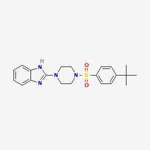 molecular formula C21H26N4O2S B2656730 2-(4-((4-(叔丁基)苯基)磺酰基)哌嗪-1-基)-1H-苯并[d]咪唑 CAS No. 1211159-21-5