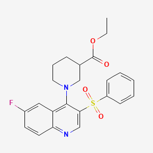 molecular formula C23H23FN2O4S B2657154 Ethyl 1-(6-fluoro-3-(phenylsulfonyl)quinolin-4-yl)piperidine-3-carboxylate CAS No. 887223-26-9