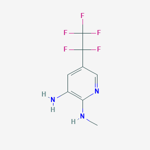 molecular formula C8H8F5N3 B2657719 N2-Methyl-5-(perfluoroethyl)pyridine-2,3-diamine CAS No. 1383840-72-9