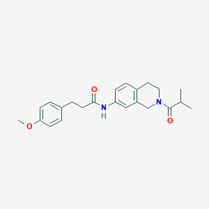 N-(2-isobutyryl-1,2,3,4-tetrahydroisoquinolin-7-yl)-3-(4-methoxyphenyl)propanamide