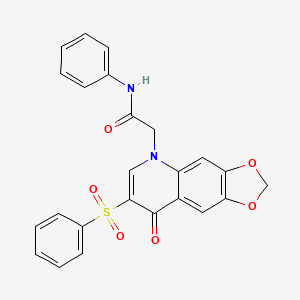molecular formula C24H18N2O6S B2658929 2-(8-oxo-7-(phenylsulfonyl)-[1,3]dioxolo[4,5-g]quinolin-5(8H)-yl)-N-phenylacetamide CAS No. 902520-96-1